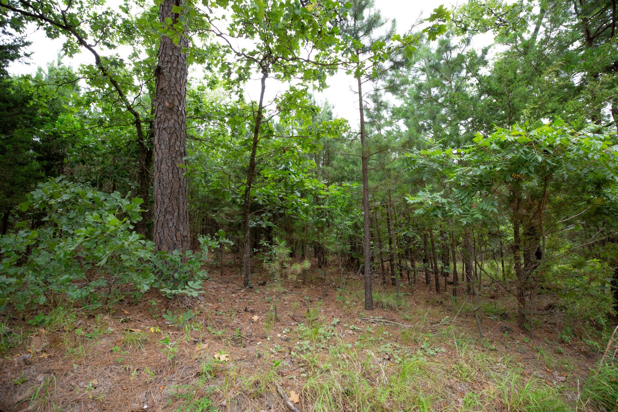 Eagle’s Nest Tract 63 photo 13
