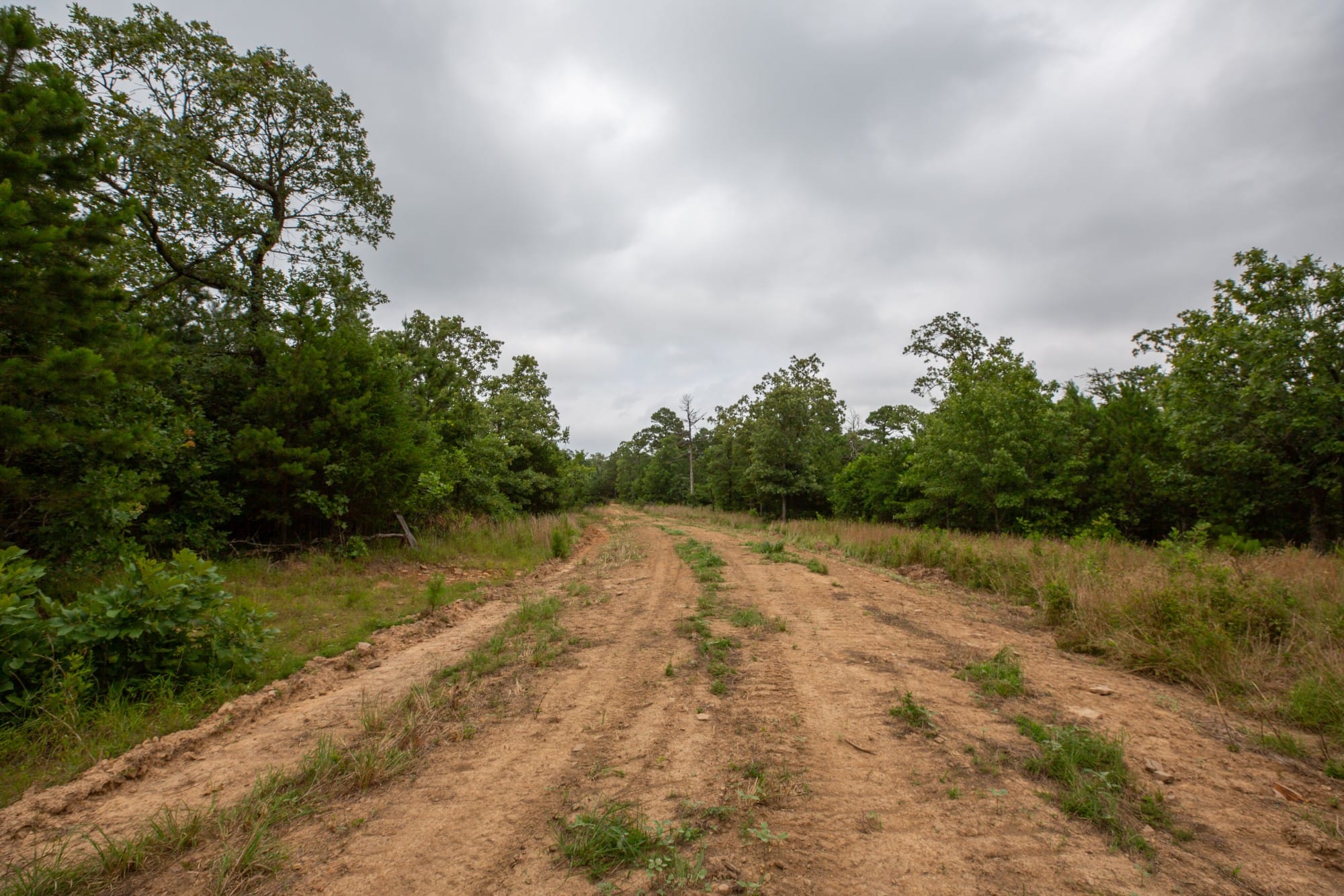Eagle’s Nest Tract 63 photo 10
