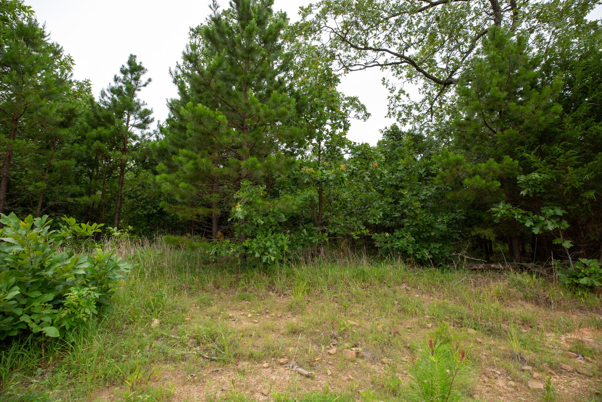 Eagle’s Nest Tract 63 photo 14