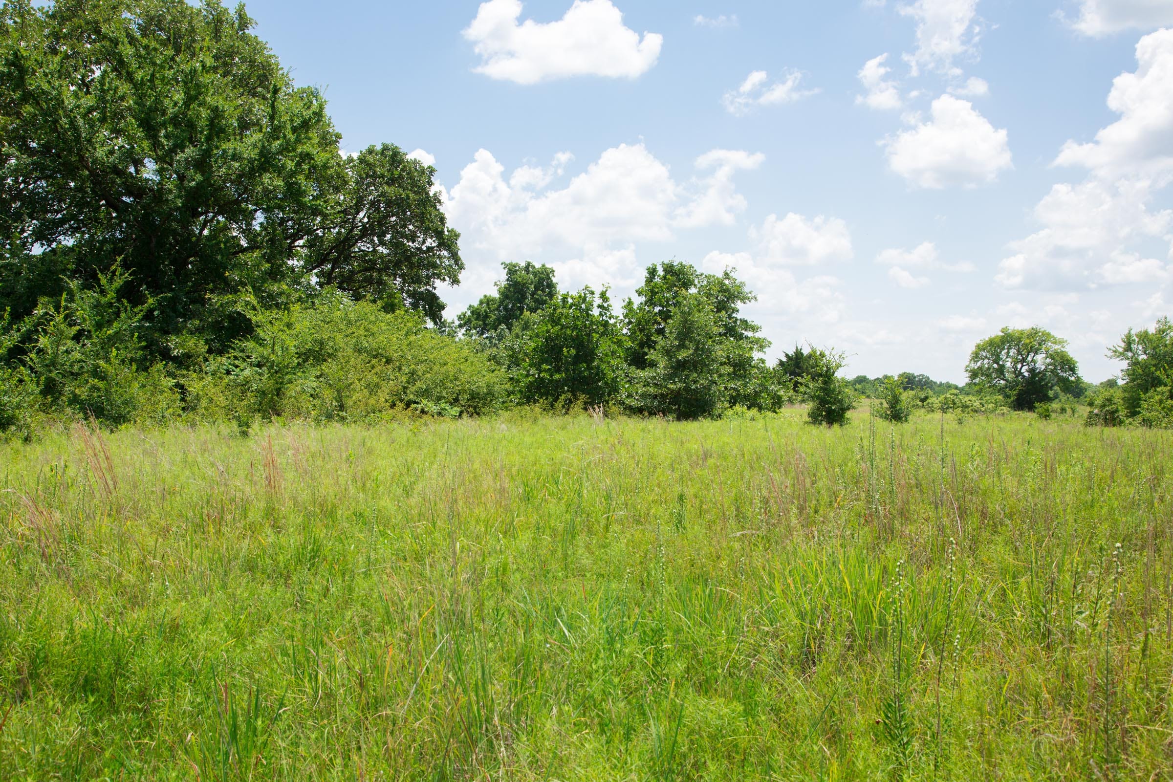 Deep Fork Ranch Tract 24 photo 2