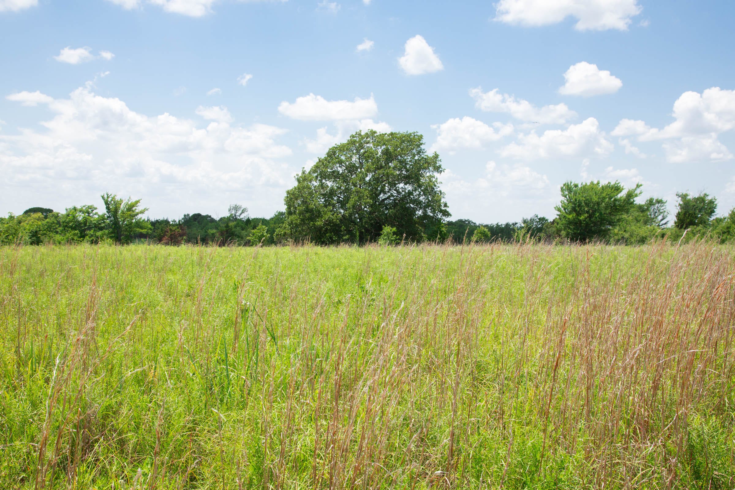 Deep Fork Ranch Tract 24 photo 3