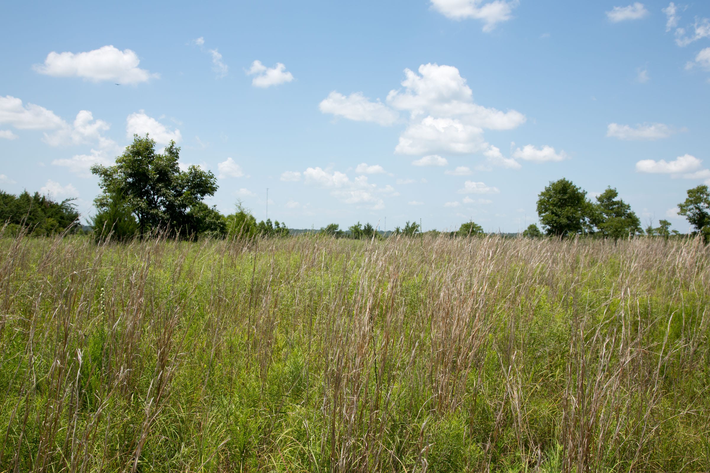 Deep Fork Ranch Tract 24 photo 4