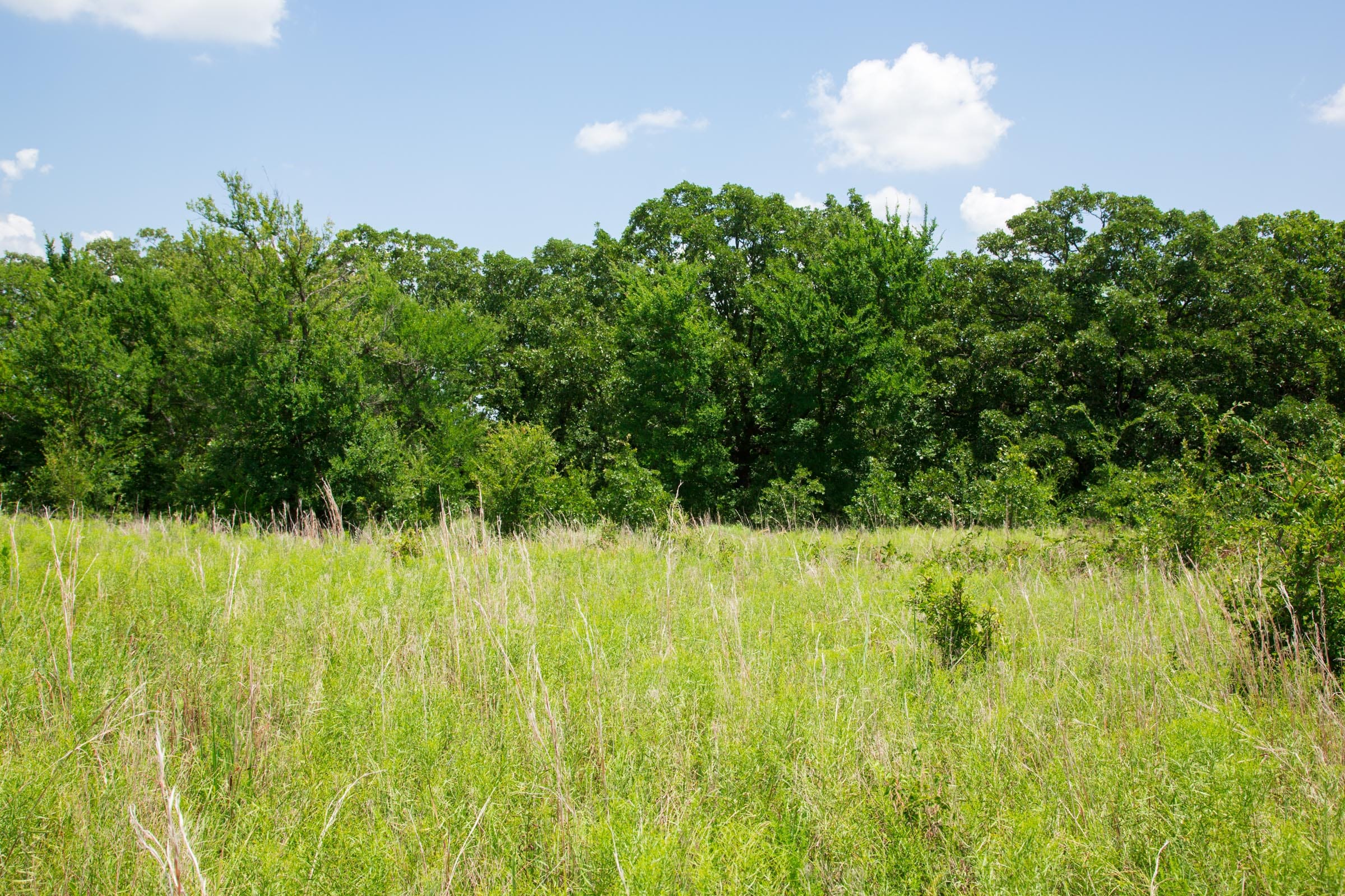 Deep Fork Ranch Tract 24 photo 5