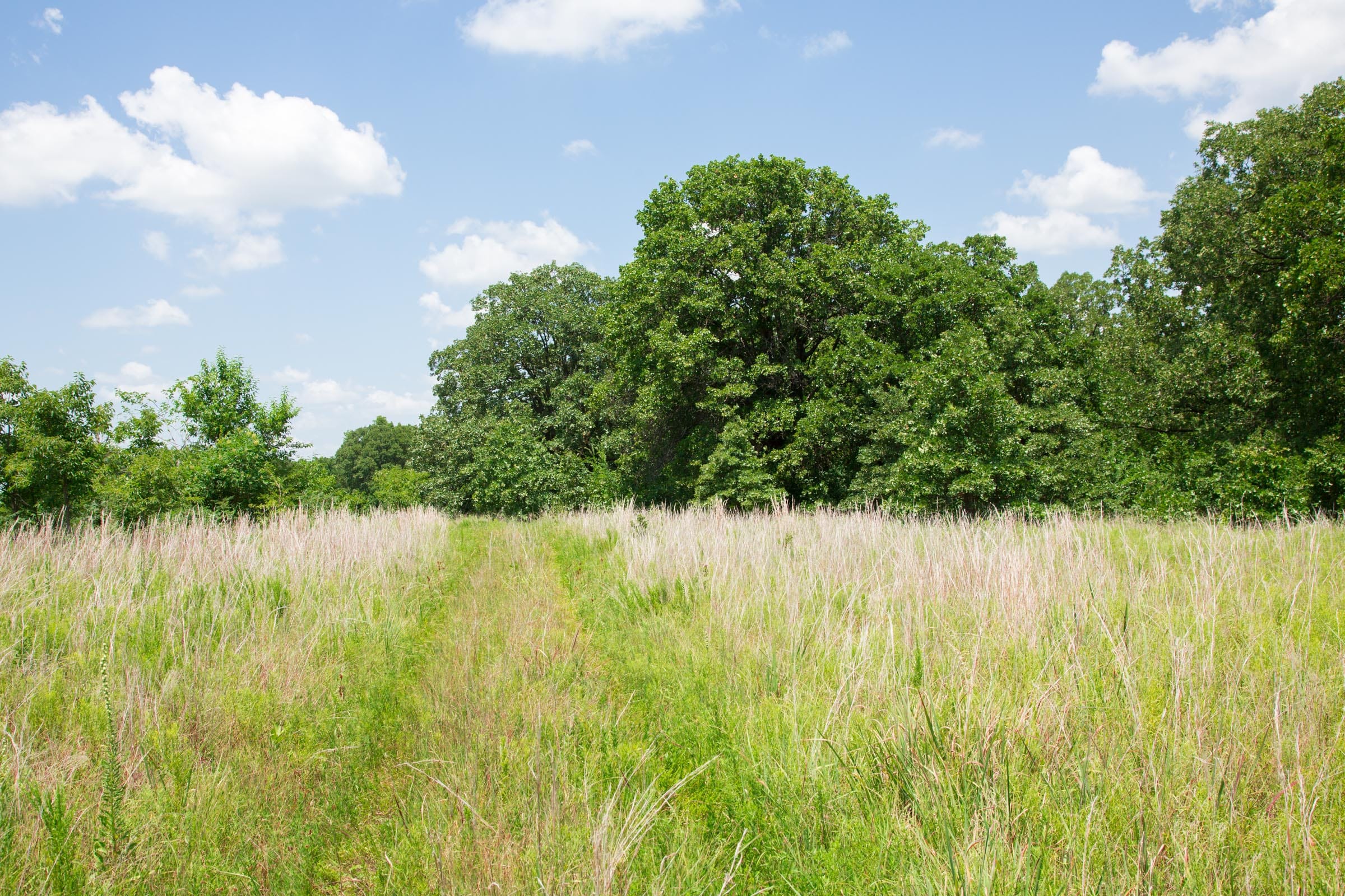Deep Fork Ranch Tract 24 photo 6
