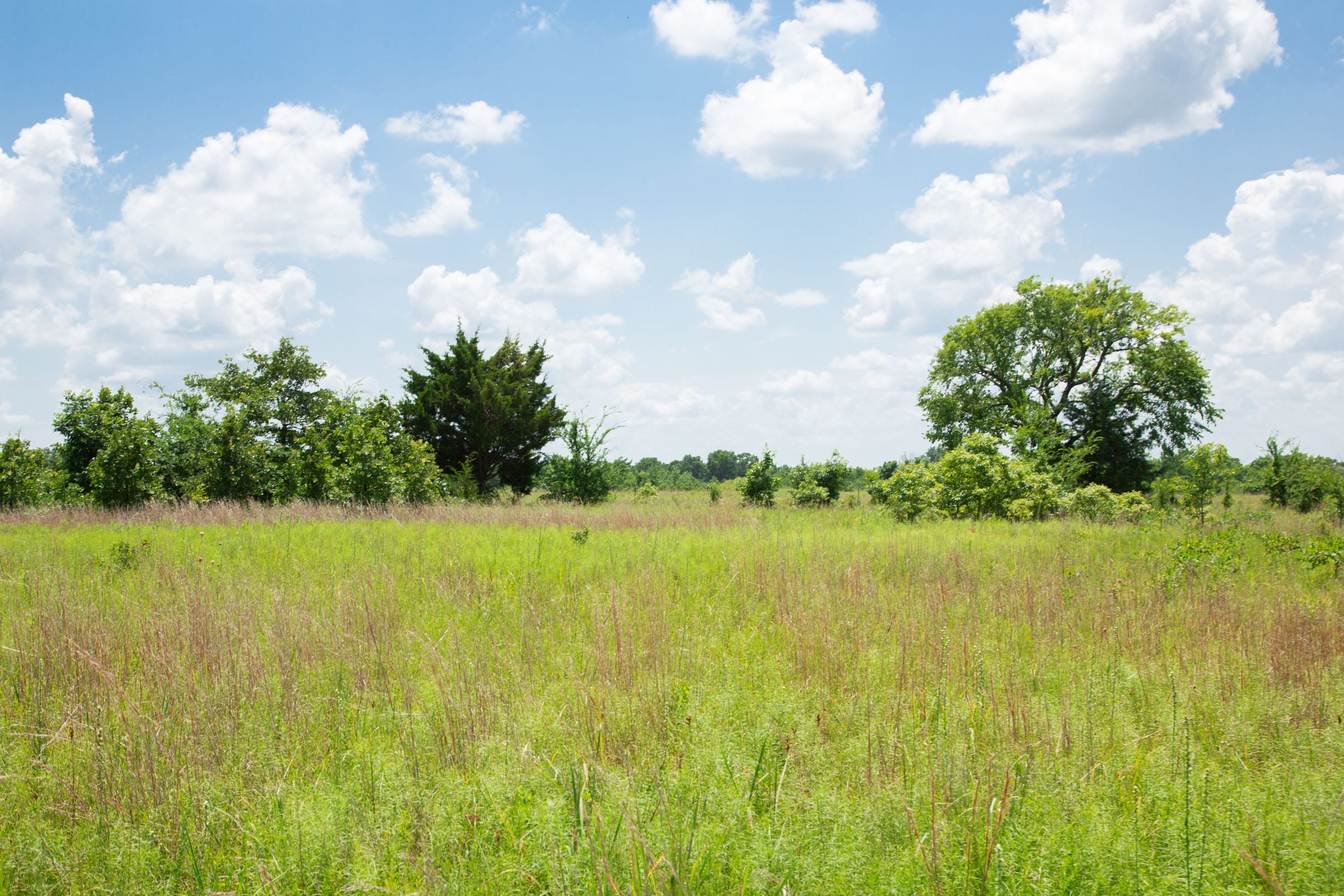 Deep Fork Ranch Tract 24 photo 7