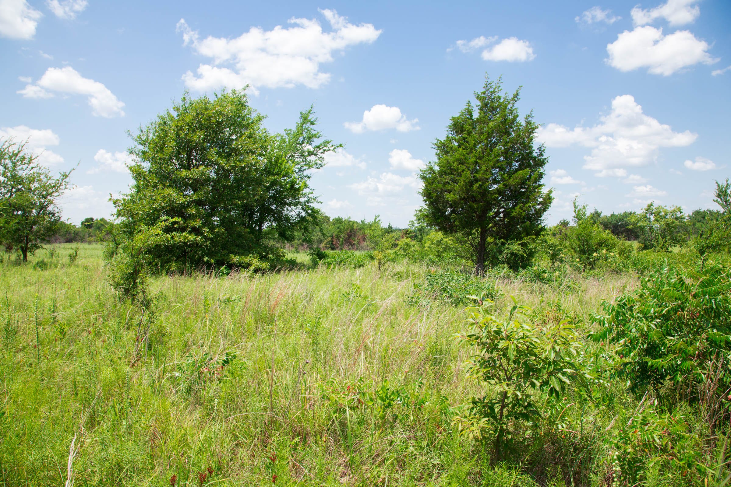 Deep Fork Ranch Tract 24 photo 11