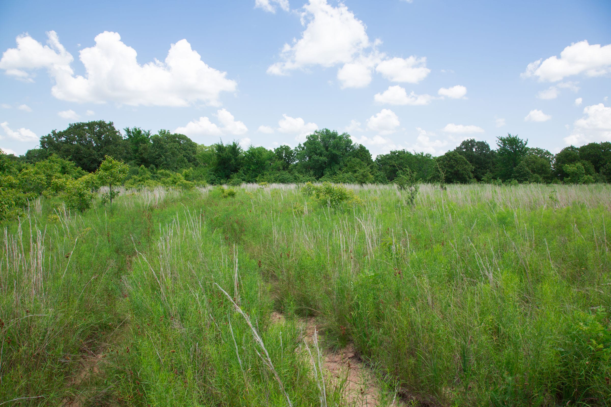 Deep Fork Ranch Tract 24 photo 12