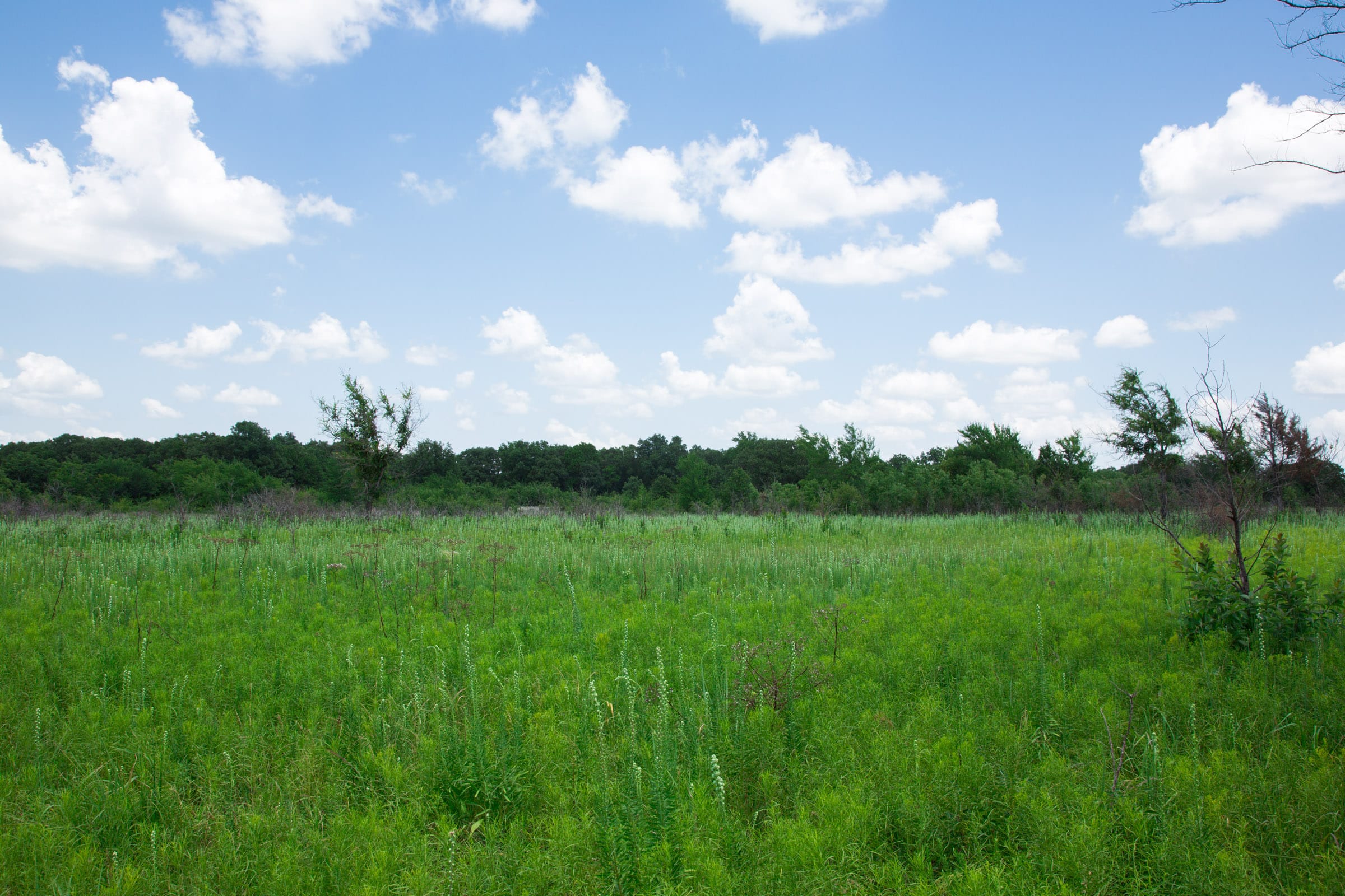 Deep Fork Ranch Tract 24 photo 13