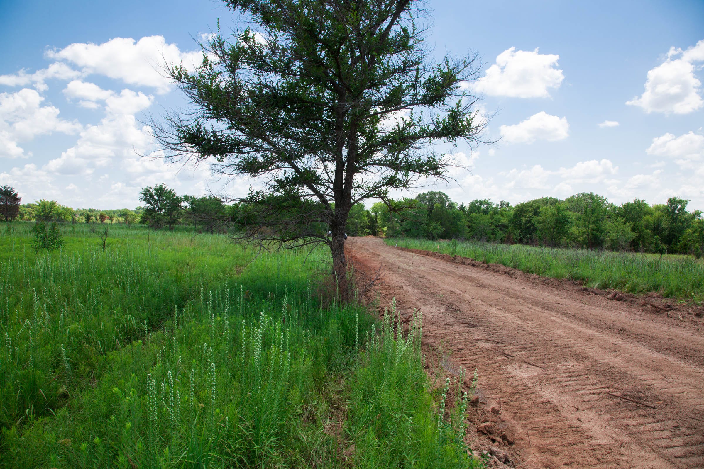 Deep Fork Ranch Tract 24 photo 10