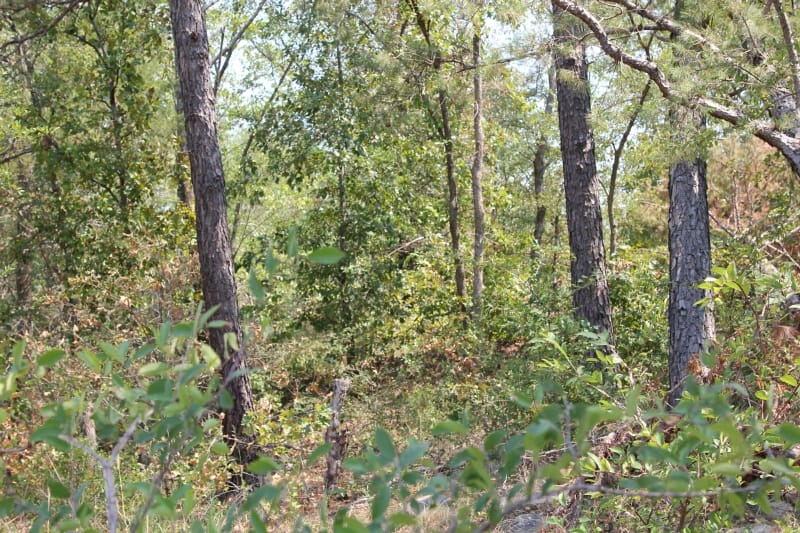 Lake View Ranch Tract 10 photo 1