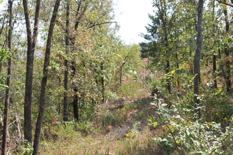 Lake View Ranch Tract 10 photo 4