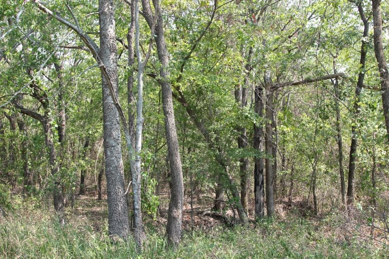 Lake View Ranch Tract 10 photo 5
