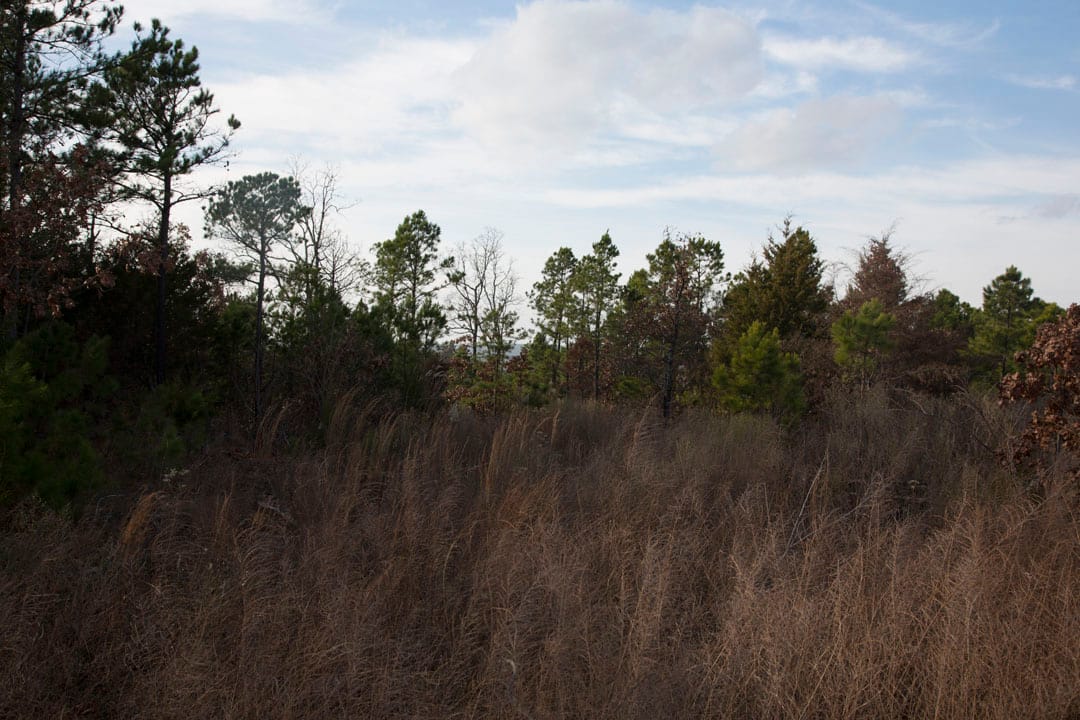 Stone Creek Phase III Tract 82 photo 2