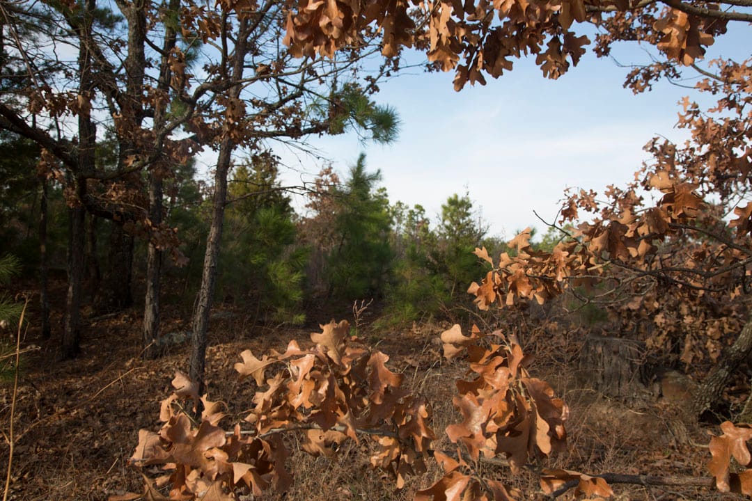 Stone Creek Phase III Tract 82 photo 3