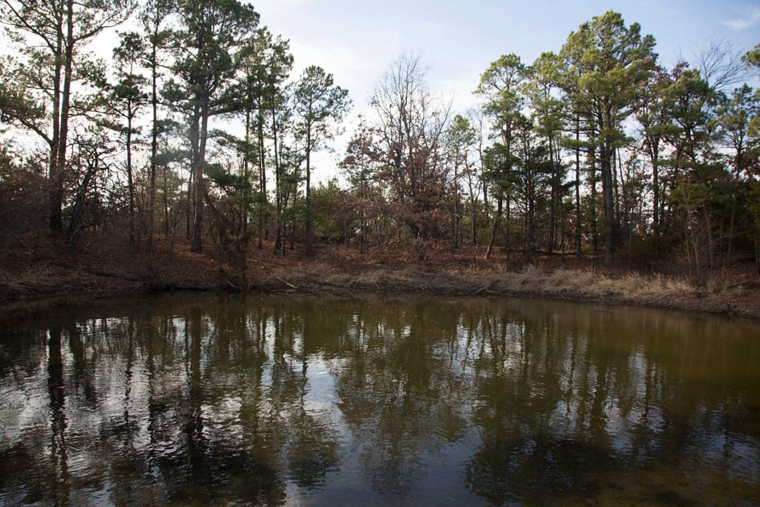 Stone Creek Phase III Tract 82 photo 4