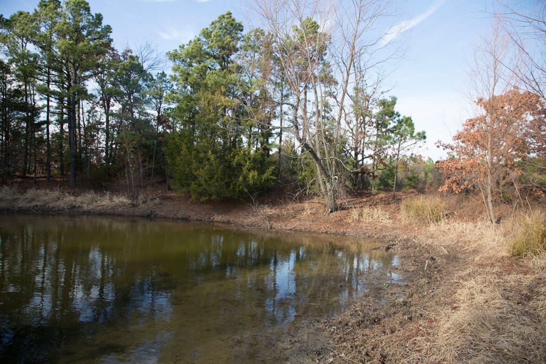 Stone Creek Phase III Tract 82 photo 5