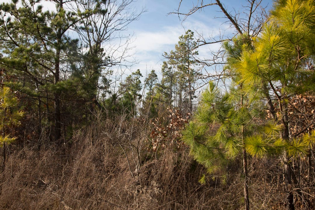 Stone Creek Phase III Tract 82 photo 7