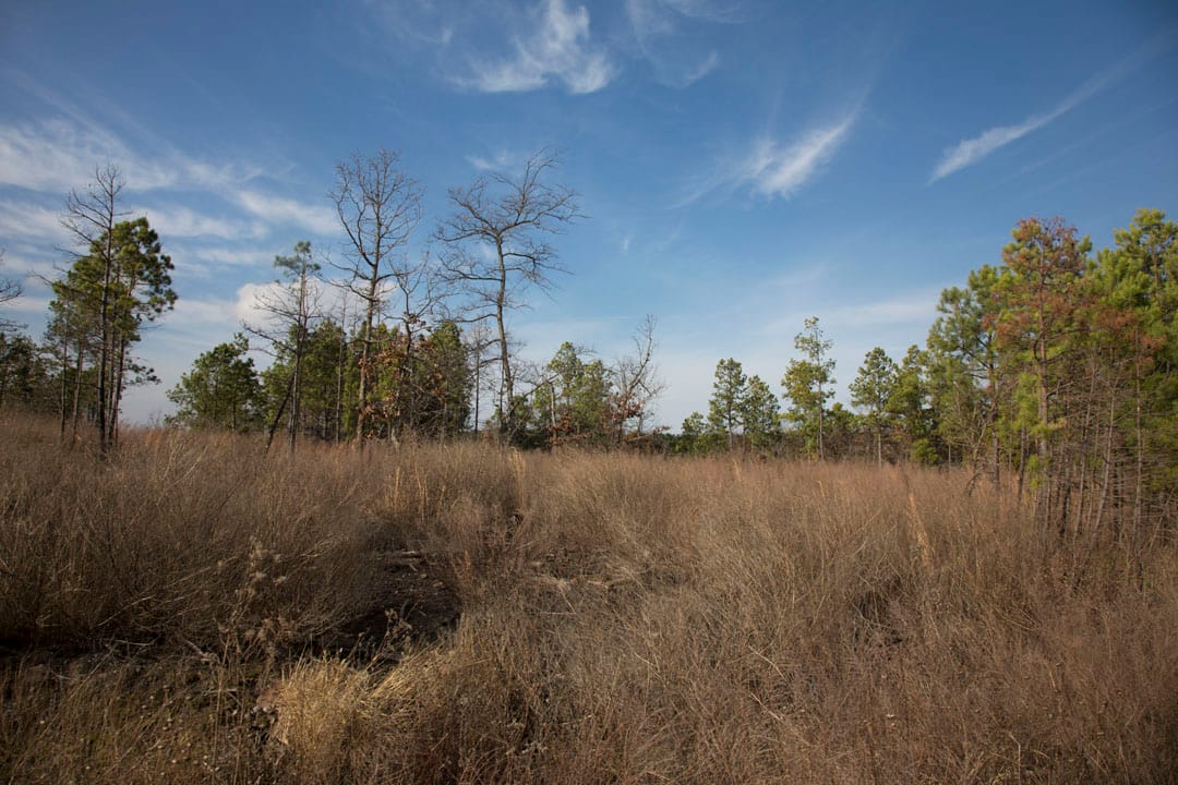 Stone Creek Phase III Tract 82 photo 8
