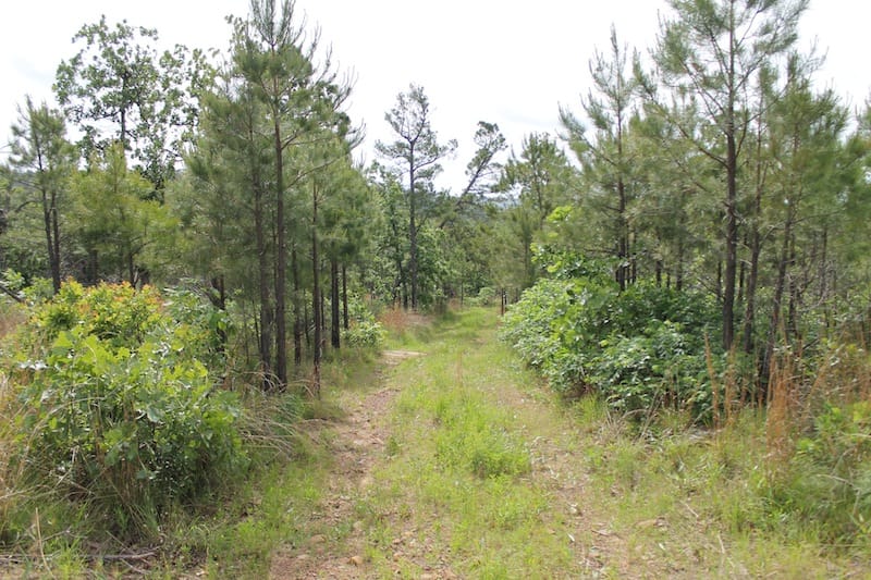 Indian Ridge – Phase II Tract 71 photo 1