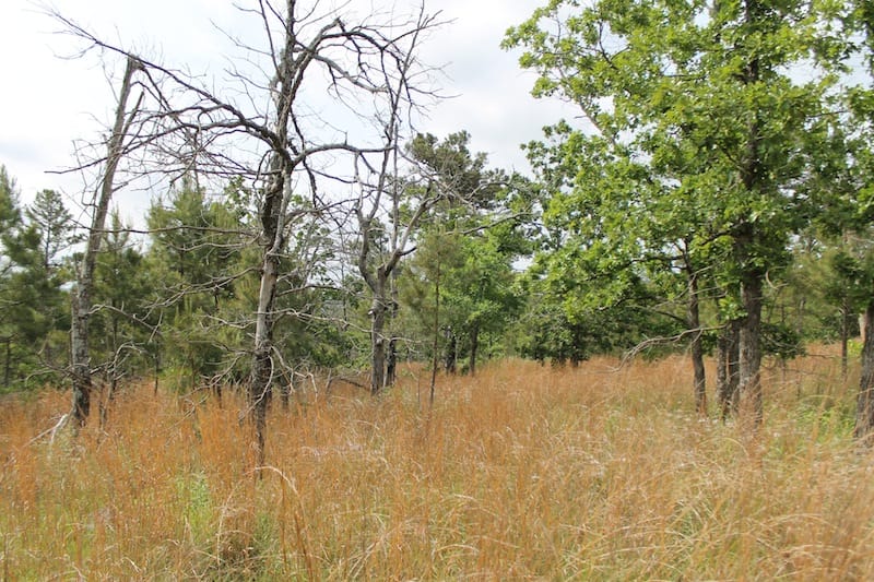 Indian Ridge – Phase II Tract 71 photo 4