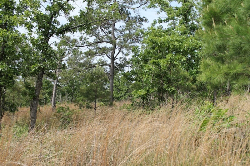 Indian Ridge – Phase II Tract 71 photo 5