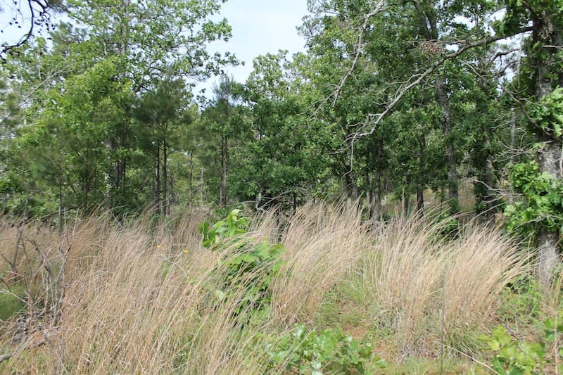 Indian Ridge – Phase II Tract 71 photo 7