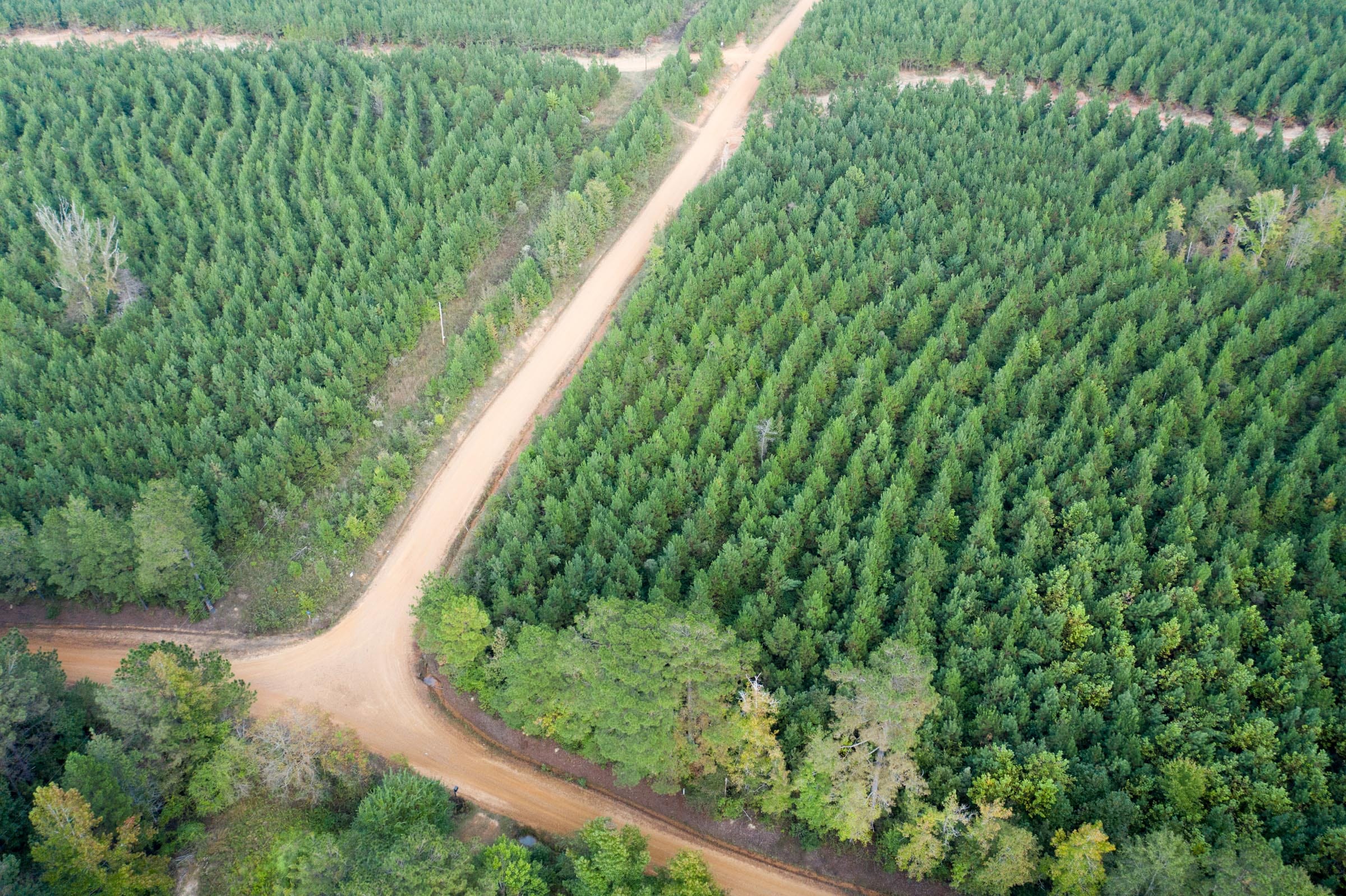 Brentwood Tract 6 photo 8