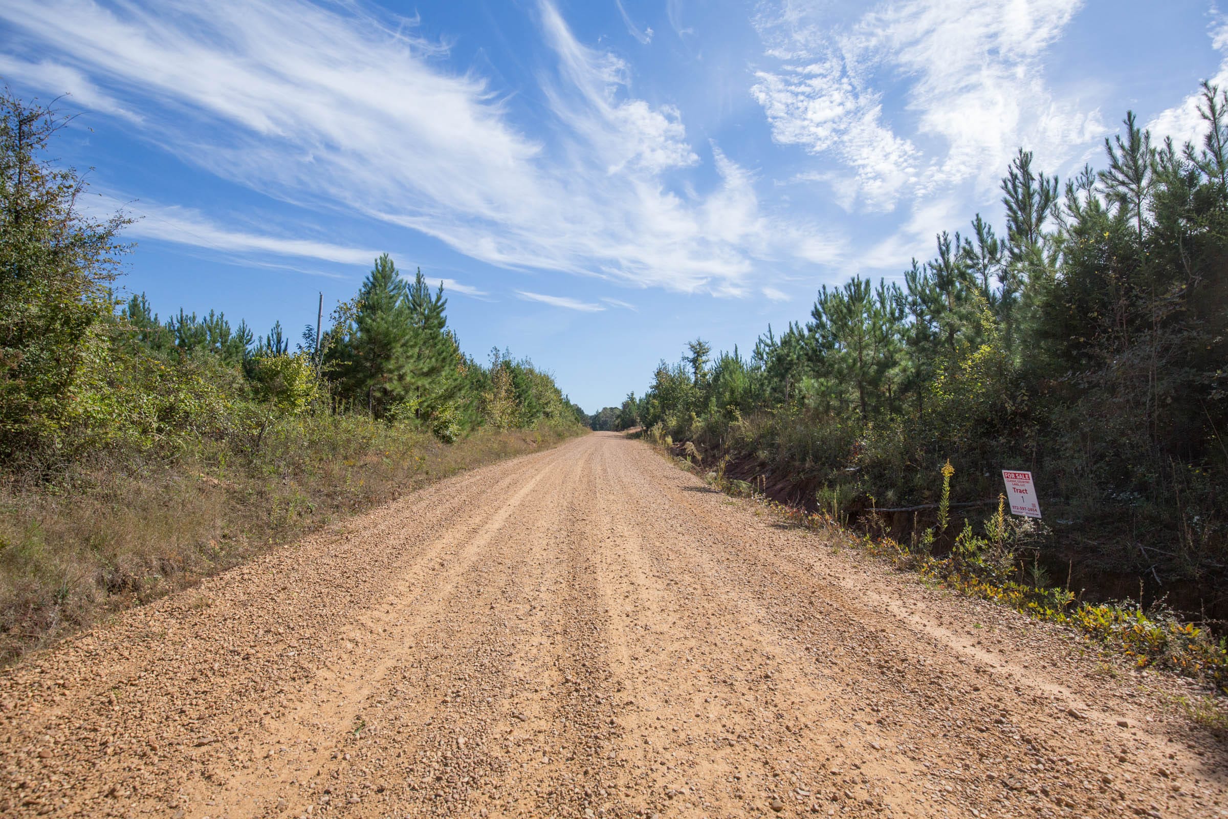 Brentwood Tract 6 photo 6