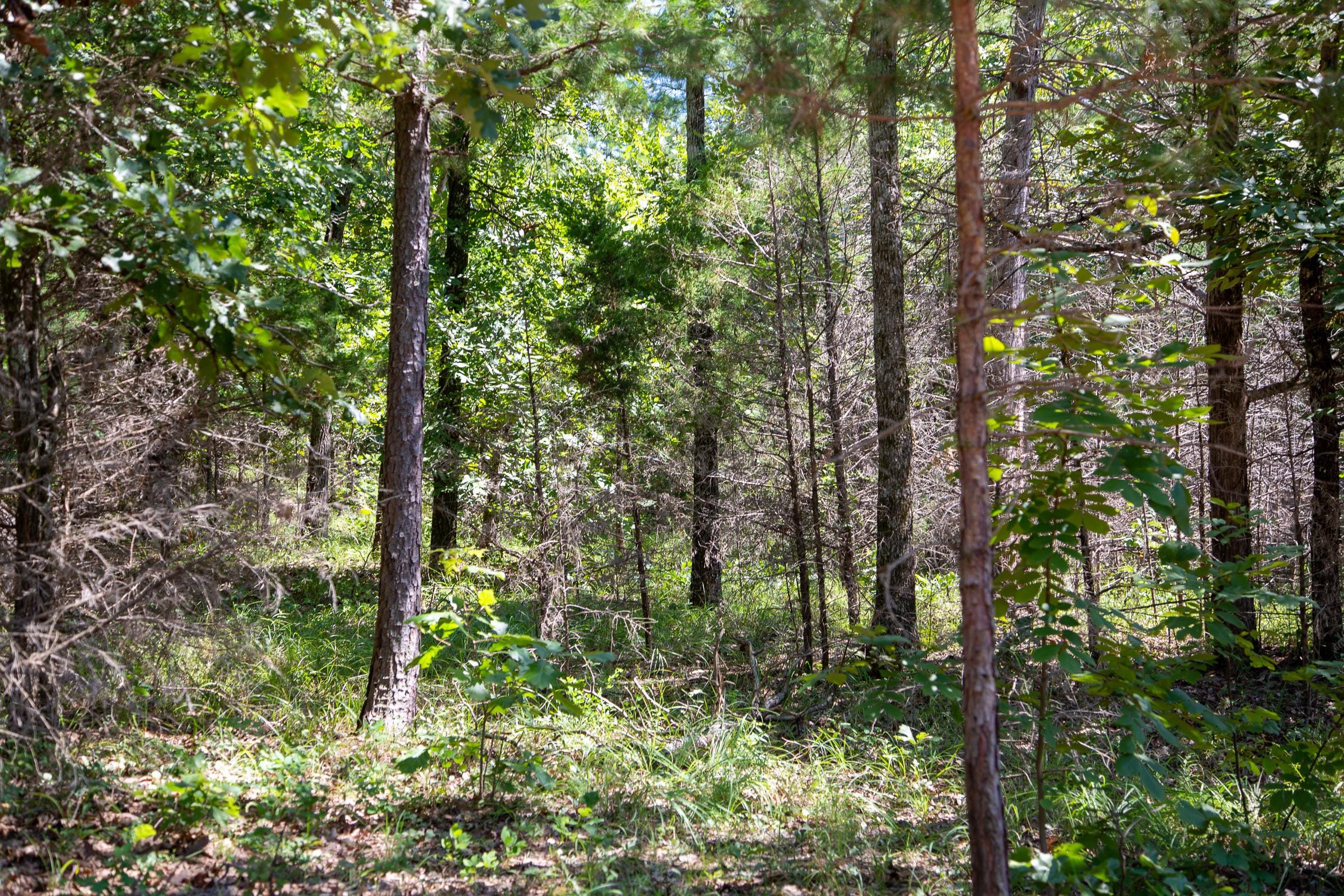 Tyler Stone Ranch Tract 13 photo 3