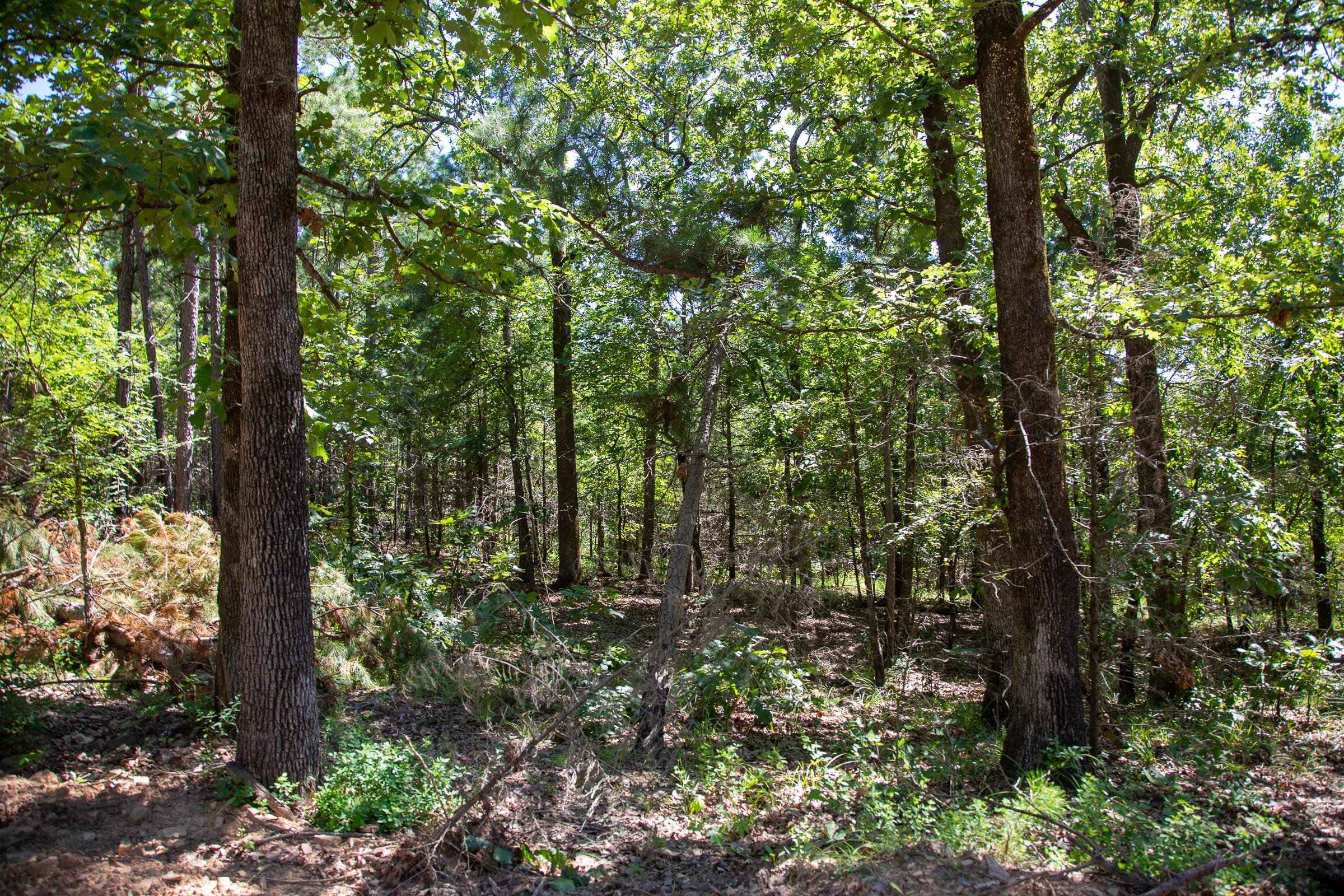 Tyler Stone Ranch Tract 13 photo 1