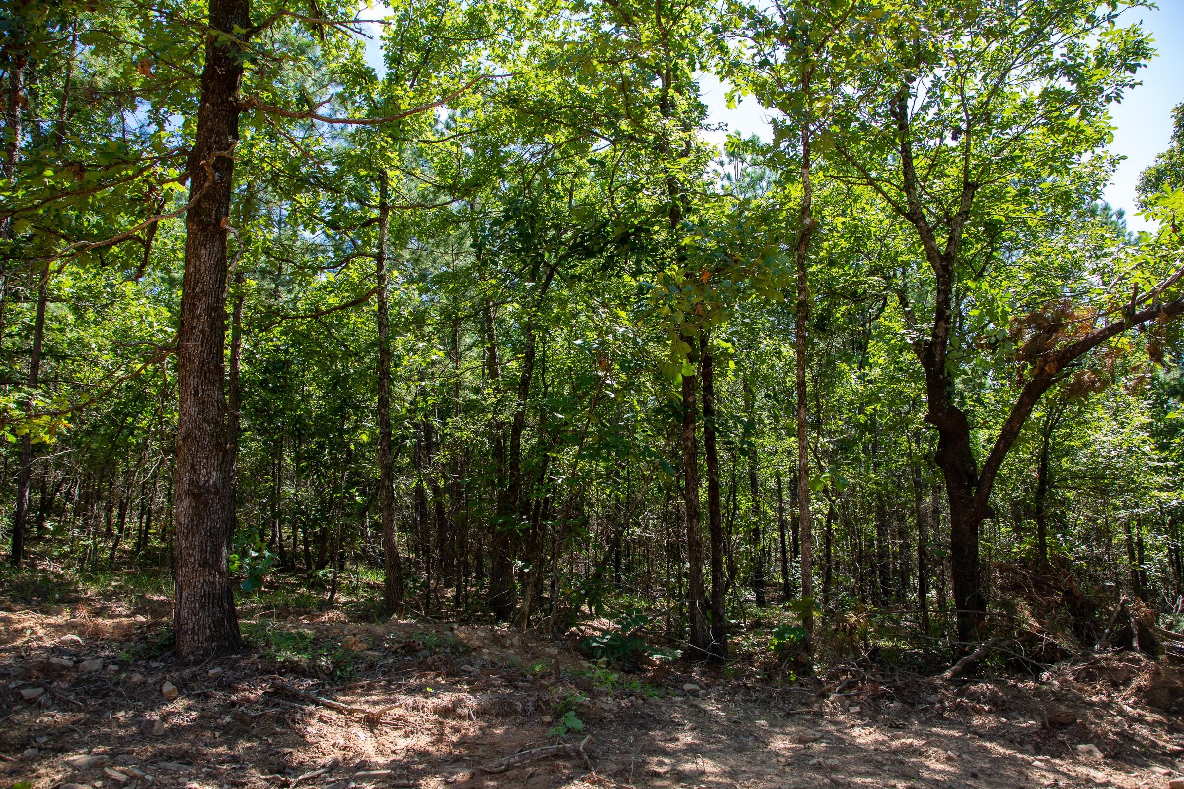Tyler Stone Ranch Tract 13 photo 5