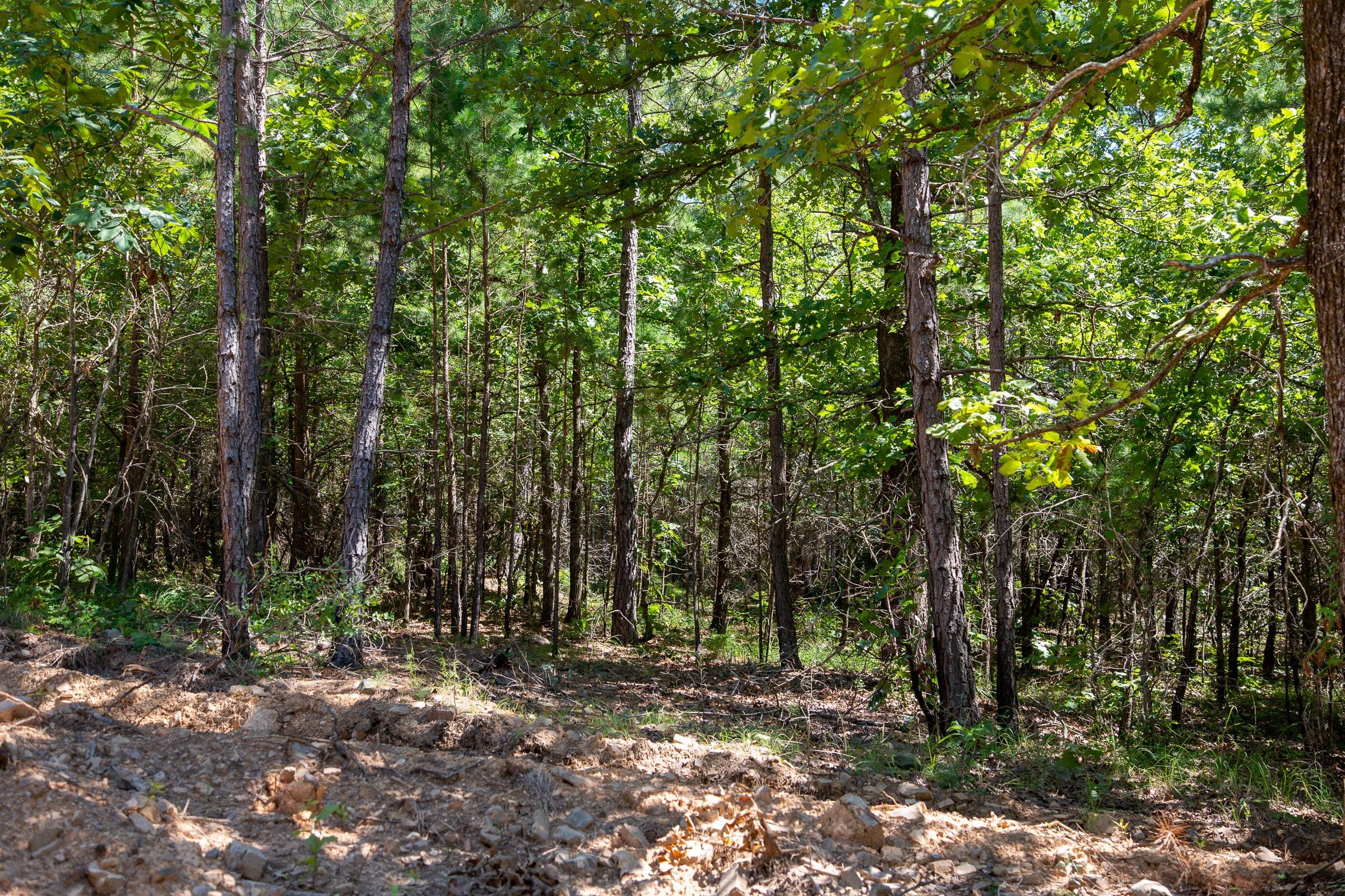 Tyler Stone Ranch Tract 13 photo 6