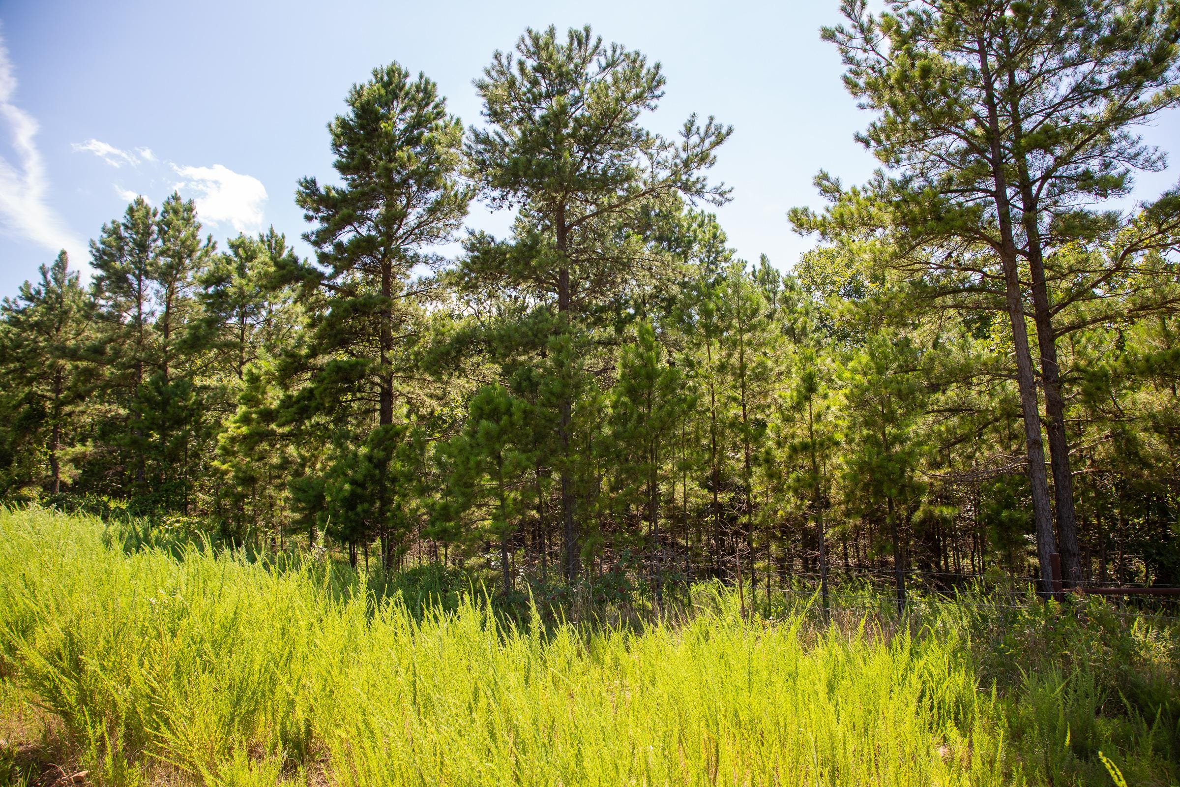 Tyler Stone Ranch Tract 13 photo 8