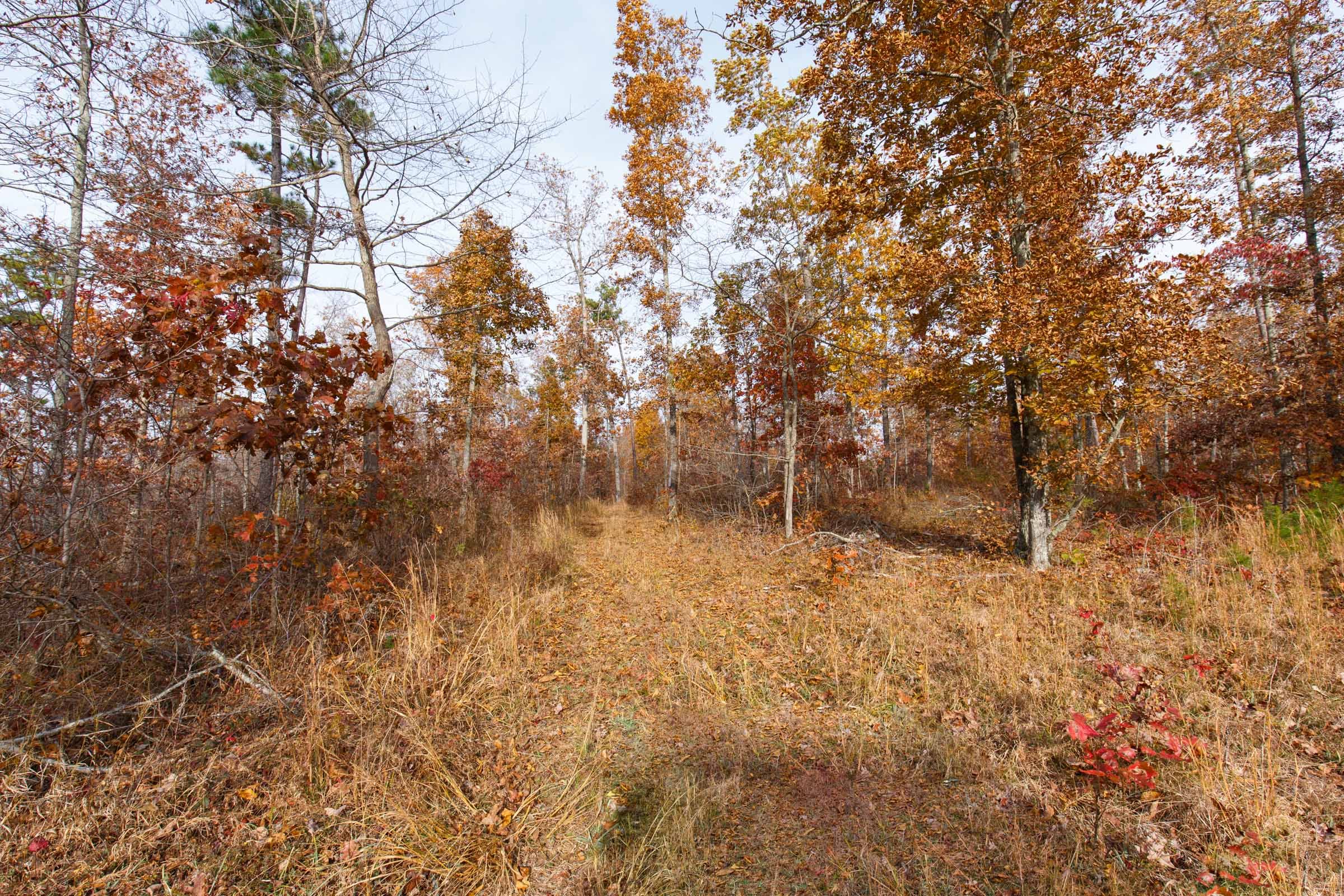 Hawkcrest Tract 42 photo 1
