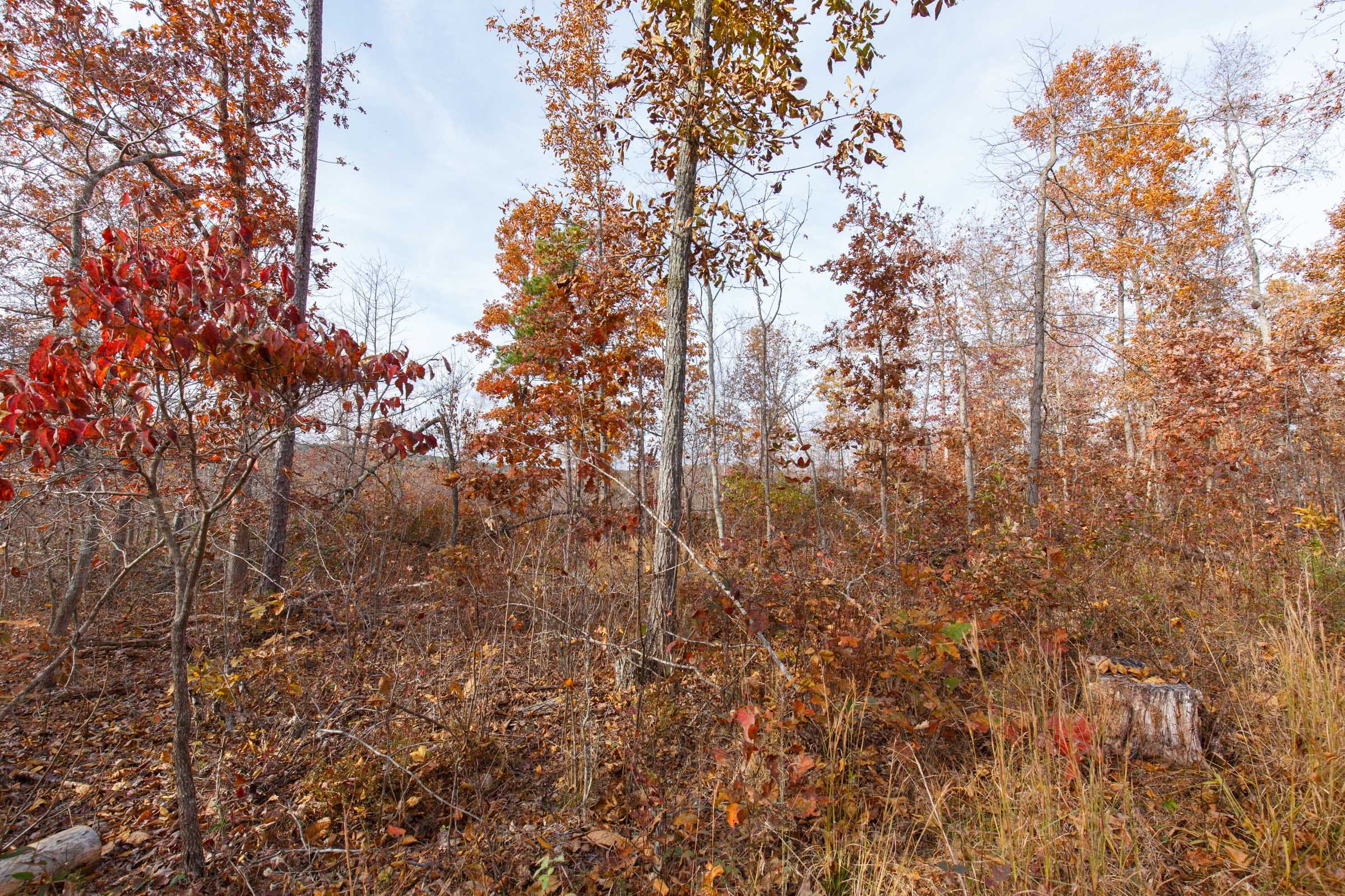 Hawkcrest Tract 42 photo 2