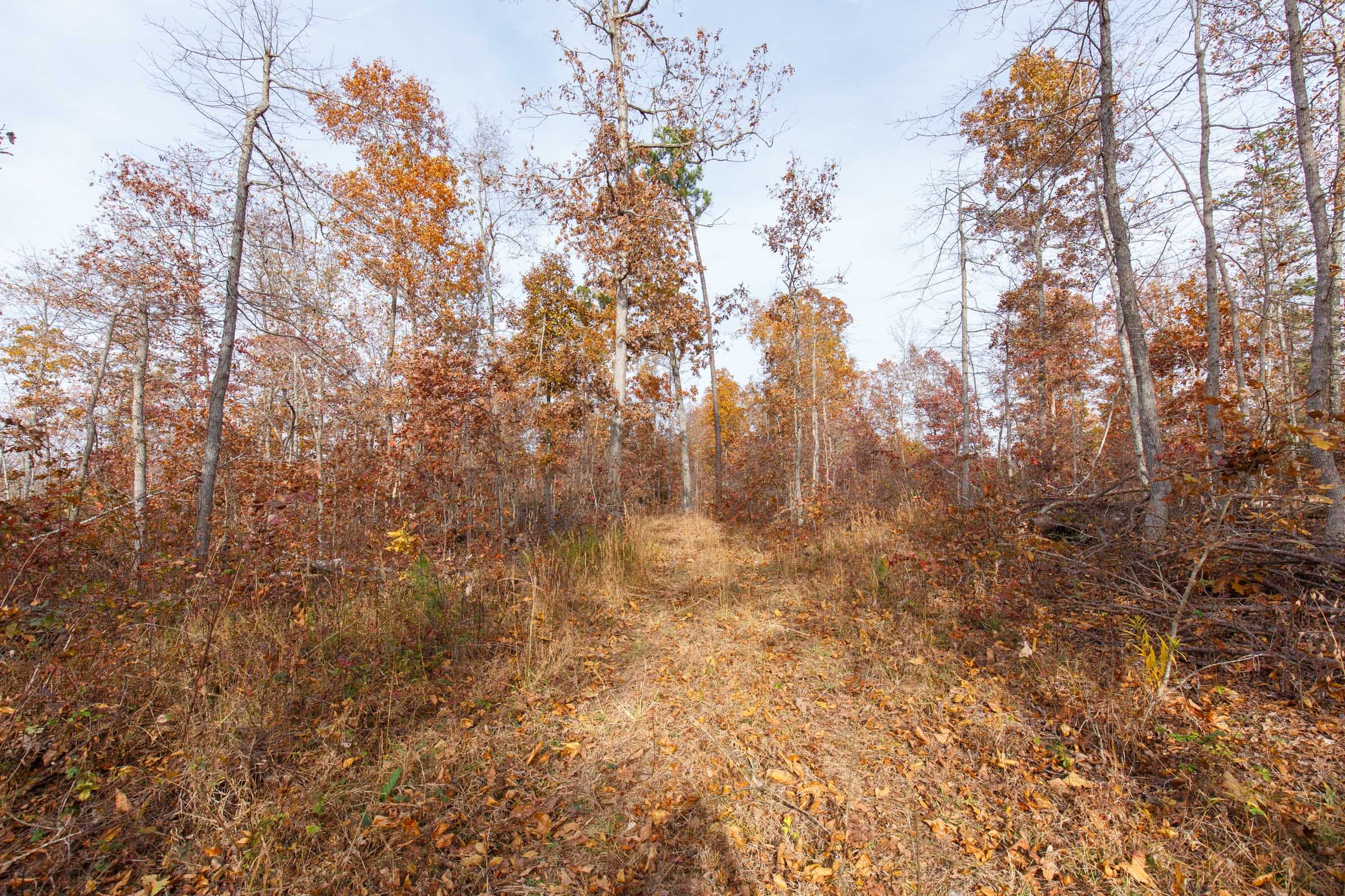 Hawkcrest Tract 42 photo 4