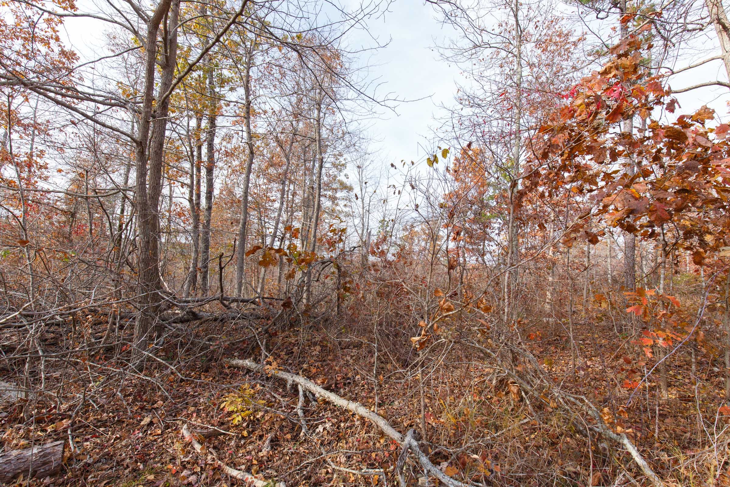Hawkcrest Tract 42 photo 6