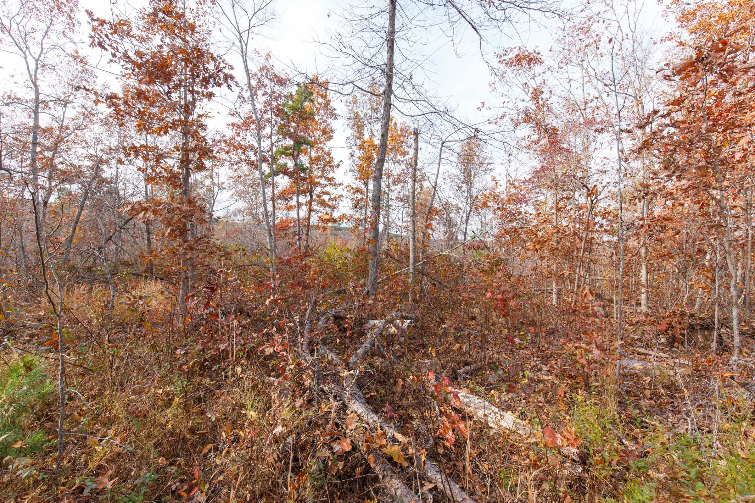 Hawkcrest Tract 42 photo 5