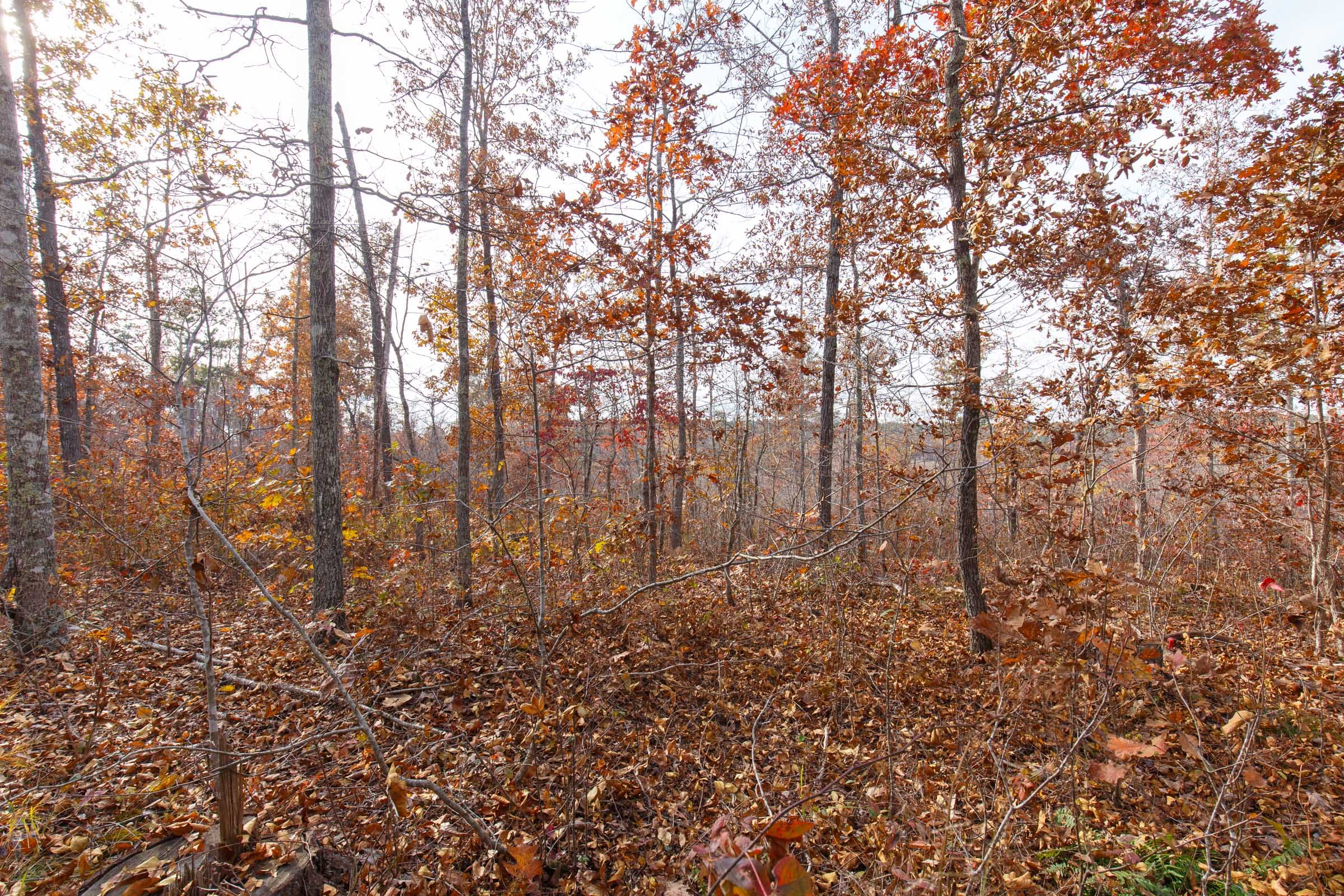Hawkcrest Tract 42 photo 8