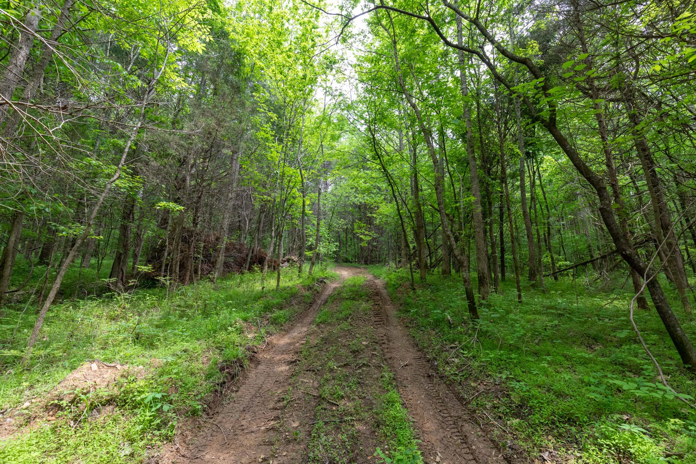 Cedar Creek Tract 32 photo 1