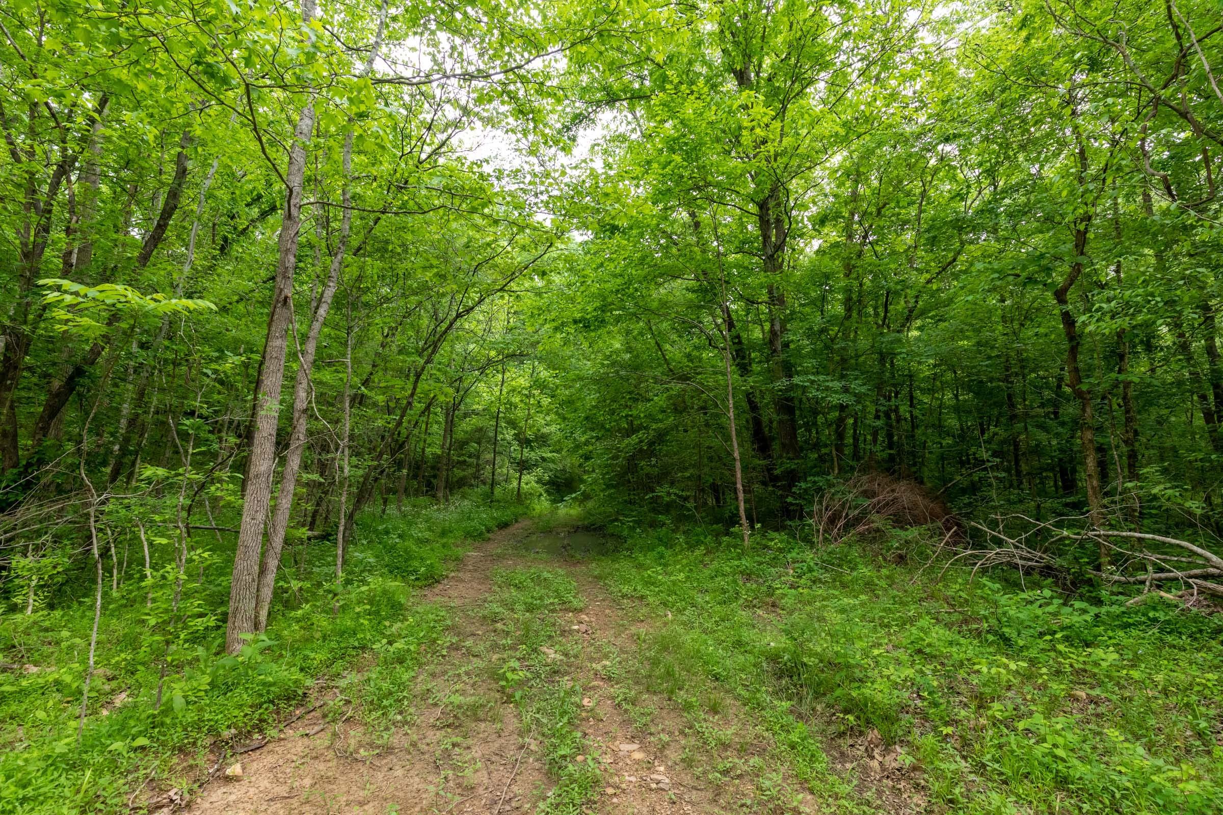 Cedar Creek Tract 32 photo 9