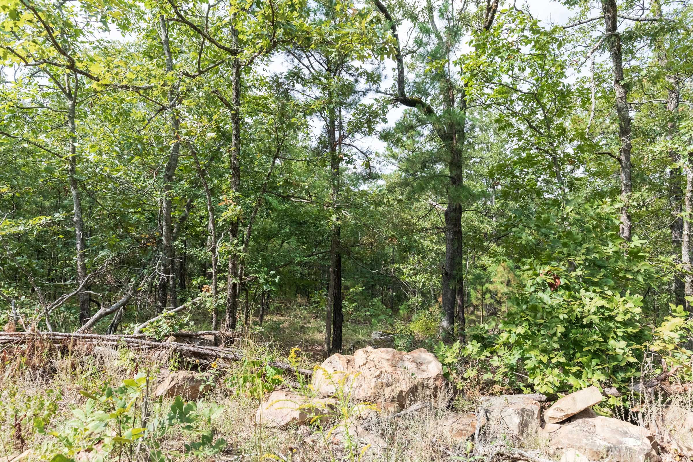 Stone Bridge Phase V Tract 348 photo 5
