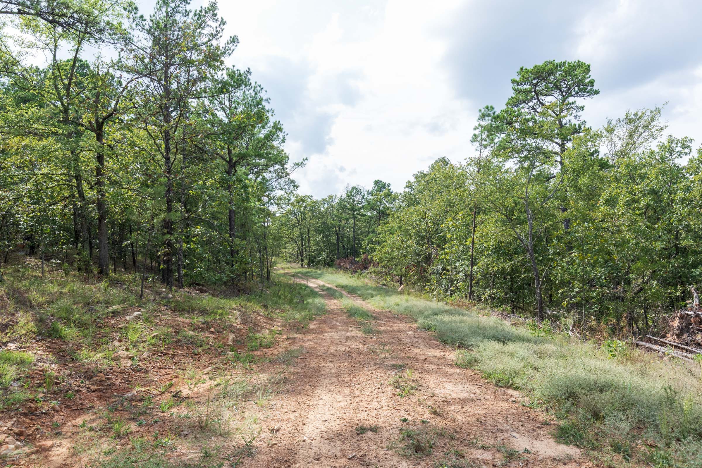 Stone Bridge Phase V Tract 348 photo 7