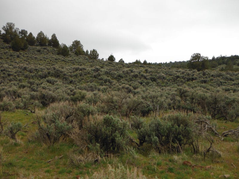 Moon Valley Ranch Tract 736 photo 3