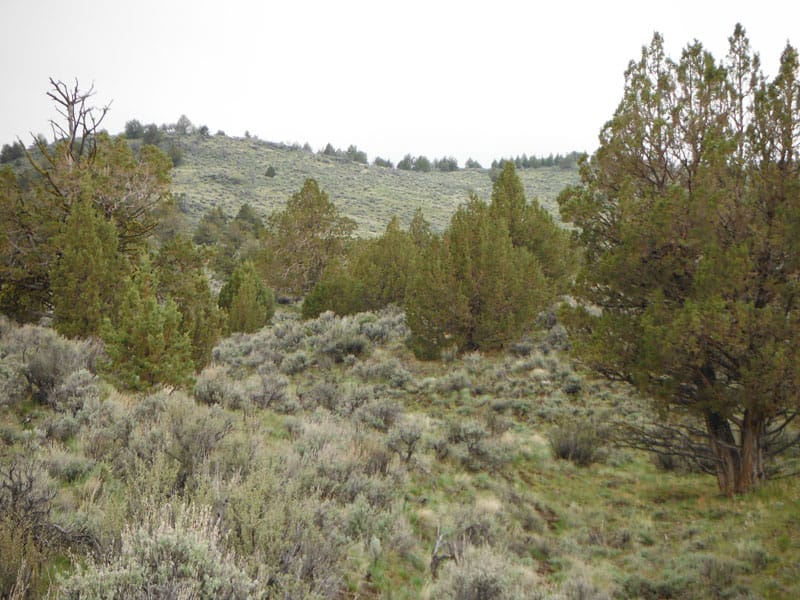 Moon Valley Ranch Tract 736 photo 6