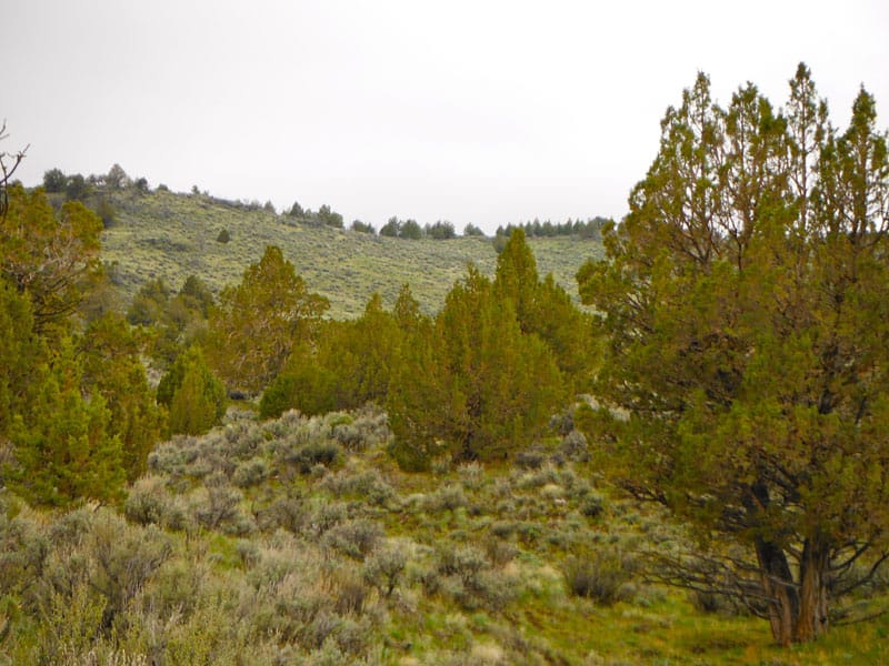 Moon Valley Ranch Tract 736 photo 8