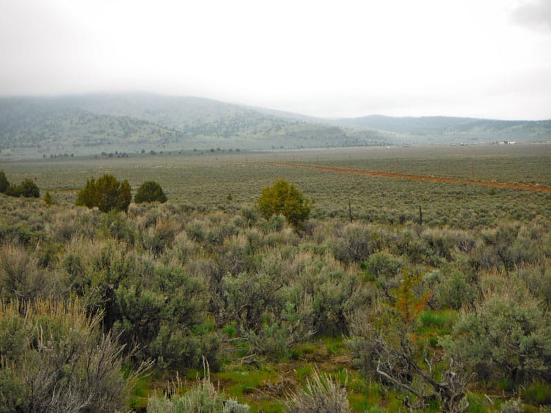 Moon Valley Ranch Tract 736 photo 9