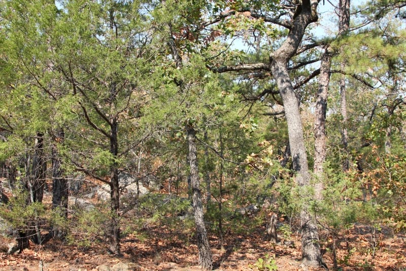 Lake View Ranch Tract 30 photo 1