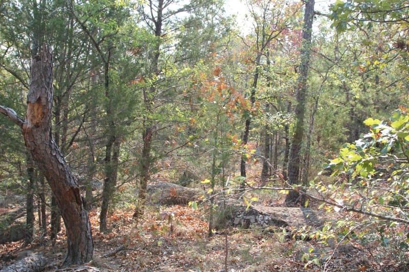 Lake View Ranch Tract 30 photo 3