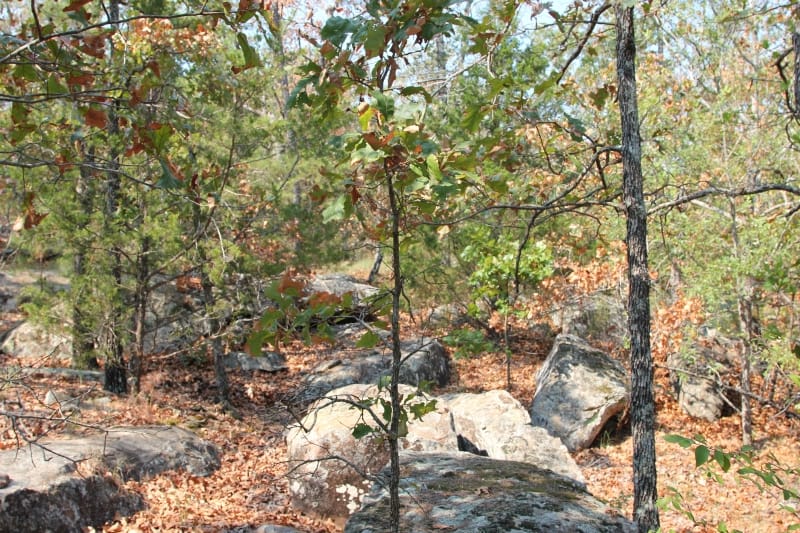 Lake View Ranch Tract 30 photo 4